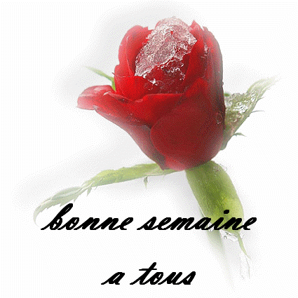 Lundi 12 bonjour 3dj7d1tr